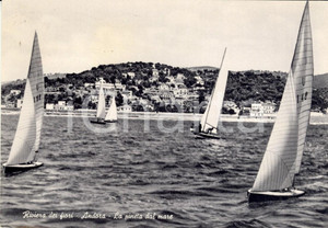 Cartolina originale da collezione 1955 ANDORA SV Veduta della pineta dal mare Cartolina ANIMATA con vele FG VG 1