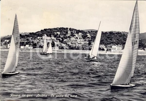Cartolina originale da collezione 1955 ANDORA SV Veduta della pineta dal mare Cartolina ANIMATA con vele FG VG 1