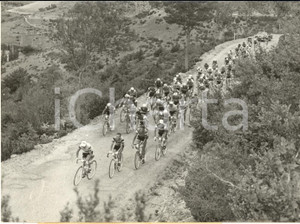 1960 TOUR DE FRANCE Etape MILLAU-AVIGNON Le peloton dans le Col du Perjuret