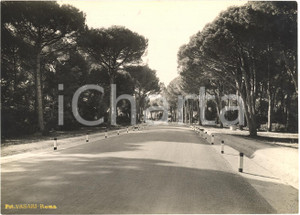Fotografia d'epoca originale 1935 ca PISA La nuova strada per VIAREGGIO foto animata 1