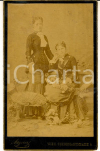 Fotografia d epoca originale 1890 WIEN Ritratto di due nobildonne sorelle Foto Victor ANGERER DANNEGGIATA 1