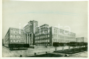 Fotografia d epoca originale 1933 ROMA LA SAPIENZA Rendering edifici delle facoltÃ  Vera fotografia 1