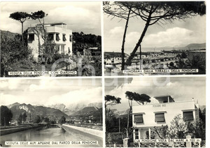 Cartolina originale da collezione 1970 ca MARINA DI MASSA (MS) Vedutine da pensione BICE 1