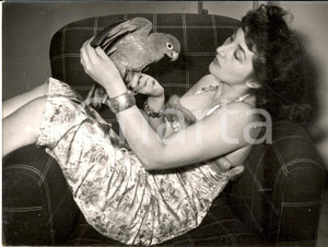 1955 ROMA Attrice Gianna ALFIERI in poltrona con un pappagallo *Foto 18x13 cm
