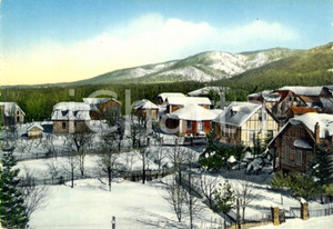 Cartolina originale da collezione 1950 ca SANTO STEFANO IN ASPROMONTE (RC) Veduta frazione GAMBARIE *Cartolina  VG 1