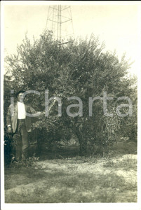 Fotografia d epoca originale 1935 ca ETIOPIA Colono in una piantagione di olivi Fotografia 1