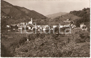 Cartolina originale da collezione 1955 BREGGIA Svizzera Panorama di CANEGGIO in Valle MUGGIO Cartolina FP VG 1