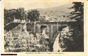 Cartolina originale da collezione 1929 Reggello  Veduta animata del Ponte Nuovo VG 1