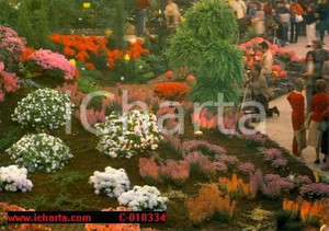 Cartolina originale da collezione 1986 GENOVA Fiera EUROFLORA Esposizione piante ornamentali ANIMATA Cartolina FG 1