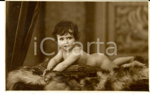 Fotografia d epoca originale 1925 BELLUNO Ritratto di bambina sdraiata su un pellicciotto Foto A. ROCCO 1