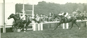 Fotografia d epoca originale 1938 MILANO SAN SIRO Gara di galoppo all Ippodromo Fotografia 1