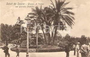 Cartolina originale da collezione 1906 LA SPEZIA Gruppo di palme ai Giardini Pubblici Cartolina ANIMATA FP VG 1