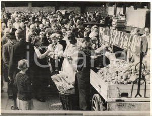 1953 BERLIN Western cherries for East-German marks *Photo 20x15 cm