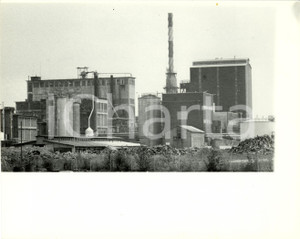 Fotografia d epoca originale 1990 ca STRASBURGO F STRACEL Veduta stabilimenti cartiera Cellulosa Foto 1