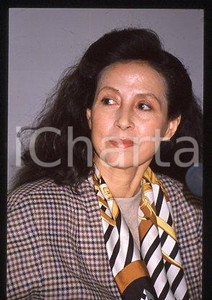 35mm vintage slide* 1988 ITALY Bamboo HIRST writer RICE DOESN'T GROW ON TREES(4)