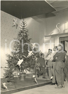 1956 TORINO Salone della Tecnica - Pino in plastica della ditta BOSCO - Foto