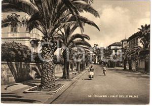 Cartolina originale da collezione 1957 CHIAVARI (GE) Veduta di Viale DELLE PALME con VESPA *Cartolina FG VG 1