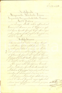 Documento originale, autentico 1878 MARANO NA Testamento Giuseppe PASSARELLI pro undici figli Manoscritto 1