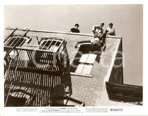 Fotografia d epoca originale 1956 RUMBLE ON THE DOCKS Bulli sporgono ragazzino dal cornicione Foto 25x20 cm 1