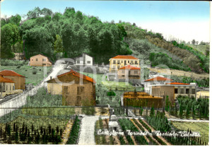 Cartolina originale da collezione 1950 ca CASTIGLIONE TORINESE (TO) Frazione BALZETTO Veduta panoramica *FG NV 1