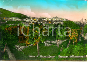 Cartolina originale da collezione 1960 MONTE SAN BIAGIO LT Scorcio panoramico con ARANCETO Cartolina FG VG 1