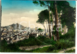 Cartolina originale da collezione 1957 NICOSIA (EN) Panorama e Pineta *Cartolina postale FG VG 1