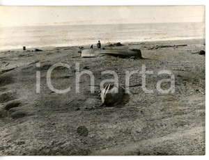 1956 CICLONE A PALIZZI MARINA (RC) Barche capovolte sulla spiaggia *Foto 18x13