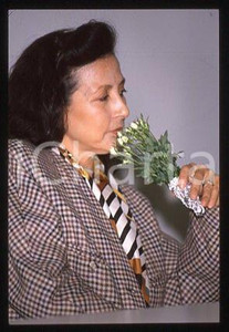 35mm vintage slide* 1988 ITALY Bamboo HIRST writer RICE DOESN'T GROW ON TREES(6)
