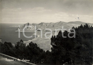 Cartolina originale da collezione 1954 TRAPANI Veduta panoramica dal Monte COFANO Cartolina postale FG VG 1