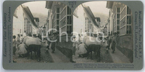 1910 ca LA GUAYRA (VENEZUELA) The Narrow Streets - Distributing Milk *Stereoview Fotografia stereoscopica d'epoca, su cartoncino rigido, n&deg; 13315 T.EDITORE: Meadville, Pa.  - Keystone View Company  GOOD/buono  Formato: 18x9 cm originale e autentica 1