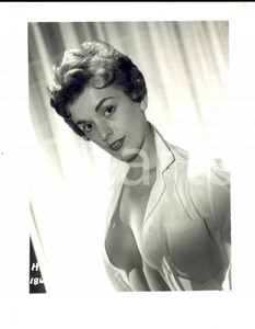 Fotografia d epoca originale 1965 ca USA  EROTICA VINTAGE Housewife posing with open blouse PHOTO 1