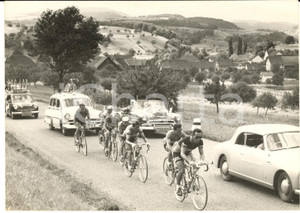 1954 CICLISMO TOUR DE SUISSE Gruppo in salita tra BUTZBERG e BRUGG - Foto   Fotografia d'epoca con didascalia coeva.Nel gruppo sono ritratti i ciclisti Croci, Torti, Fornara e Monti.  CONDIZIONI: G  FORMATO: 18x13 cm     originale e autentica 1