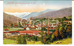 Cartolina originale da collezione 1928 ANDORNO MICCA (BI) Panorama generale *Cartolina postale FP VG 1