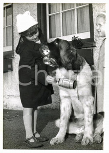 1959 BATTLE (UK) - RAILWAY HOTEL St. Bernard dog collects pennies for charity