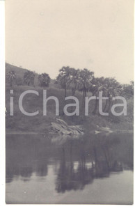 1930 ca C. ZAGOURSKI (?) CONGO BELGE - Près de MATADI - Vue - Palmiers - Photo  Fotocartolina postale d'epoca, attibuita al fotografo Casimir Zagourski.CONDIZIONI: GFORMATO: 9x14 cm    originale e autentica 1