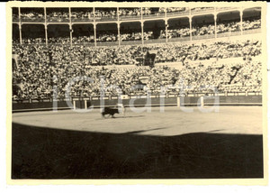 Fotografia d epoca originale 1960 ca ESPANA CORRIDA  Torero in azione nell arena Foto VINTAGE 15x10 cm 1