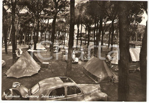 Cartolina originale da collezione 1958 FOLLONICA (GR) Tende al CAMPING INTERNAZIONALE *Cartolina FG VG 1
