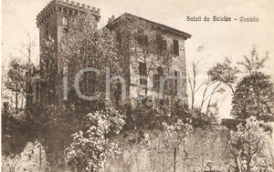 Cartolina originale da collezione 1942 SCIOLZE (TO) Veduta del castello 1