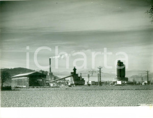 Fotografia d epoca originale 1970 ca TOULOUSE F Veduta di una raffineria Fotografia 1