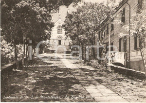 Cartolina originale da collezione 1960 ca RAPALLO Santuario Nostra Signora MONTALLEGRO Basilica e Viale Cartolina 1