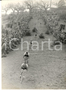 Fotografia d epoca originale 1954 CRENNA MONDIALI CICLOCROSS Un passaggio difficile Fotografia 18x24 1