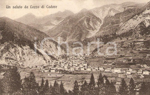 Cartolina originale da collezione 1913 LOZZO DI CADORE BL Veduta panoramica Alta Valle PIAVE Cartolina FP VG 1