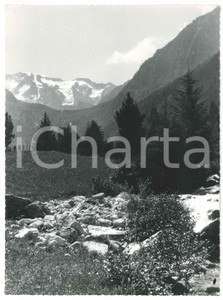 Fotografia d epoca originale 1955 ca VAL PAGHERA / VEZZA D OGLIO Gruppo Baitone Foto Gualtiero LAENG FIRMATA 1