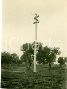 Fotografia d epoca originale 1929 OTRANTO LE Elettrificazione campagna del SALENTO Fotografia 1