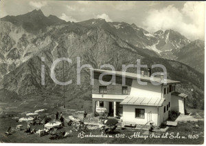 Cartolina originale da collezione 1961 BARDONECCHIA (TO) Albergo Pian del Sole *Cartolina postale FG VG 1
