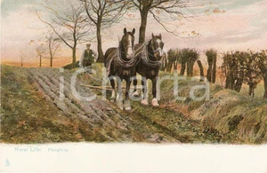 Cartolina originale da collezione 1910 UNITED KINGDOM  RURAL LIFE Ploughing VINTAGE Postcard FP NV 1