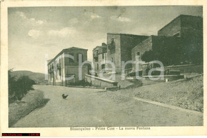 Cartolina originale da collezione 1943 BISACQUINO PA Prime case del paese e nuova fontana 1
