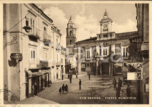 Cartolina originale da collezione 1953 SAN SEVERO (FG) Piazza del Municipio ANIMATA FG VG 1