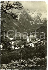 Cartolina originale da collezione 1962 GROSCAVALLO (TO) Frazione PIALPETTA Panorama VALLE DI LANZO *Cartolina 1