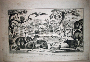 Stampa, bozzetto originale 1840 circa THE CREATION Stampa A. PARK Adamo ed Eva 1